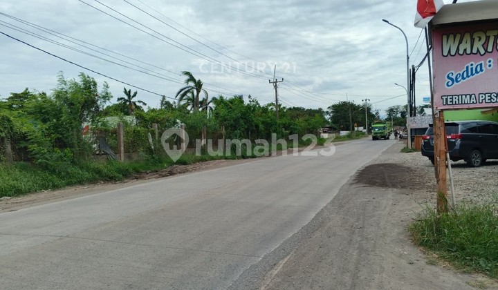 Tanah Jalan Akses Bojonegara Kawasan Industri