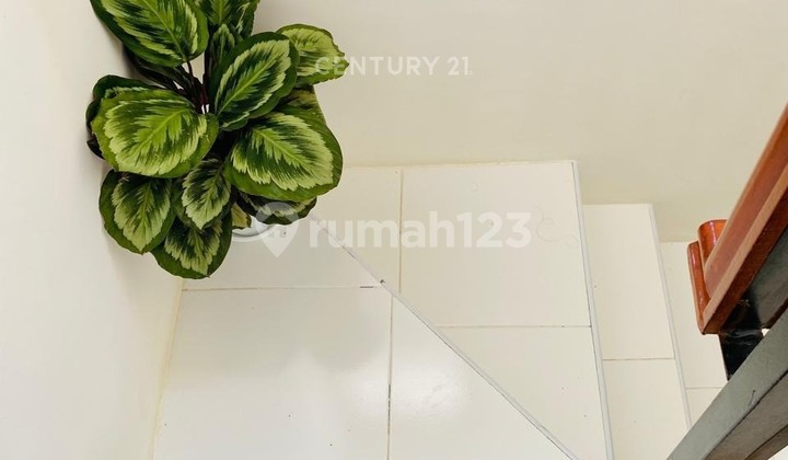 Hunian Semi Furnished Citraland  Puri Cluster Beaumont  2