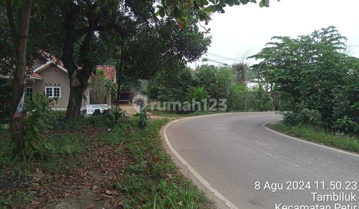 Tanah Jalan Utama Tambiluk Pabuaran Cocok Untuk Usaha, Indomaret/Alfamart 2