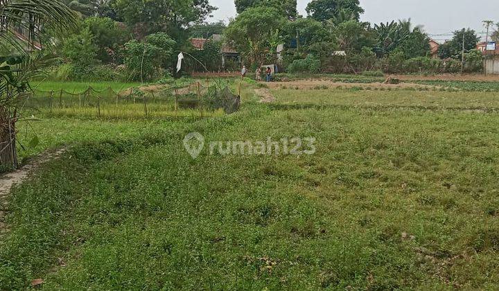 Tanah kebun walantaka nego sampai deal 2