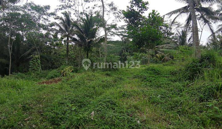 Tanah dijual di Sukasari, Tambaksari, Ciamis 2