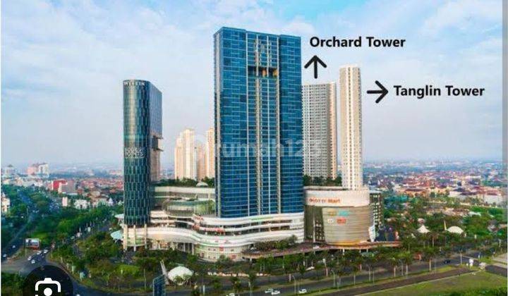 Nego Sampai Deal Apartemen Orchad Pakuwon Mall