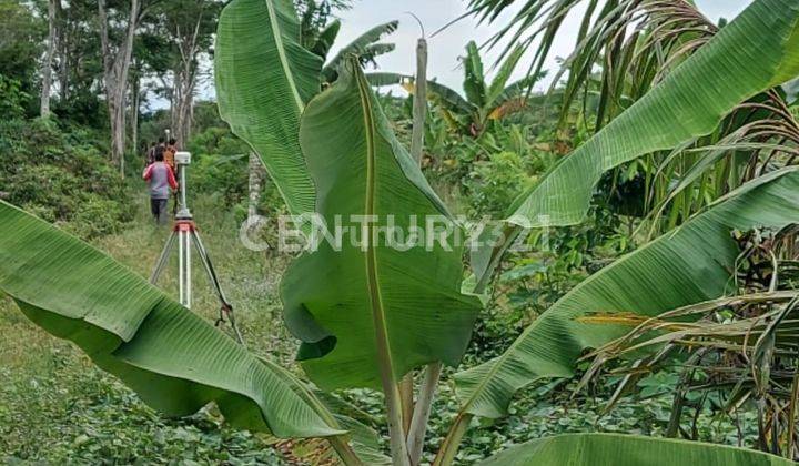 Tanah Kebon Lebak Dekat Perumahan Citra Maja 2