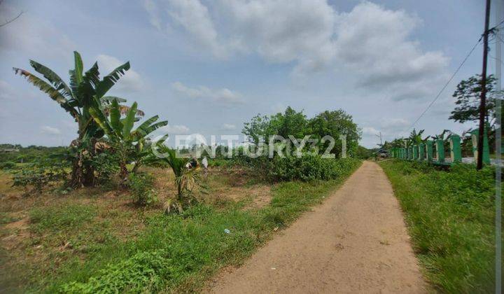 Tanah Kebon Lebak Dekat Perumahan Citra Maja 1