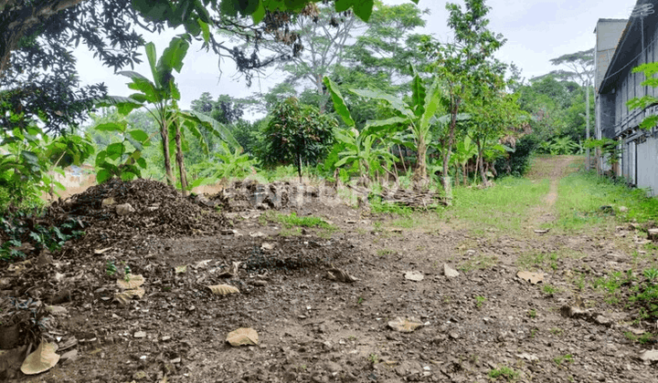 Tanah Belakang Perumahan Untirta Serang