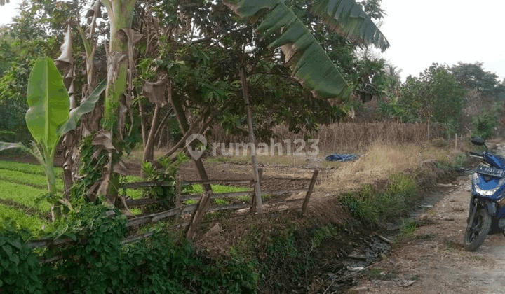 Tanah Kebun Perumahan Puri Gemilang Tambak 1