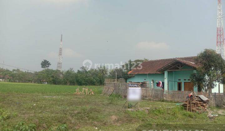 Tanah Tegal Jetak Ciruas Harga Miring Nego Sampai Deal 2