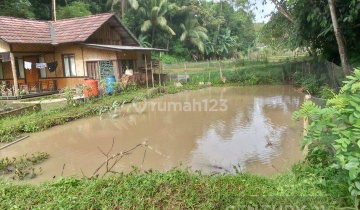 Tanah Sawah Produktif Harga Miring Nego Halus 2