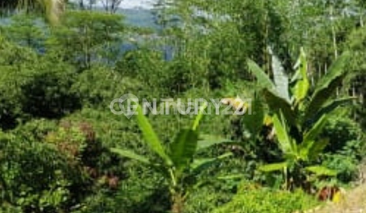 Sukabumi Industrial Area Multi-Functional Warehouse