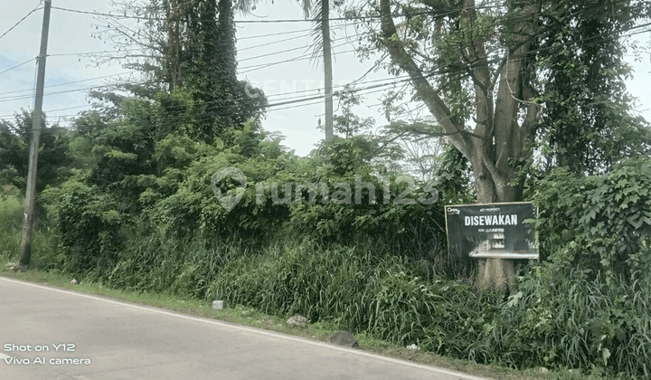 Land on Palima Main Road Passed by Many Vehicles