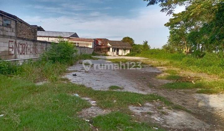 Tanah Harga Miring Jl Sukamandi Kasemen  1