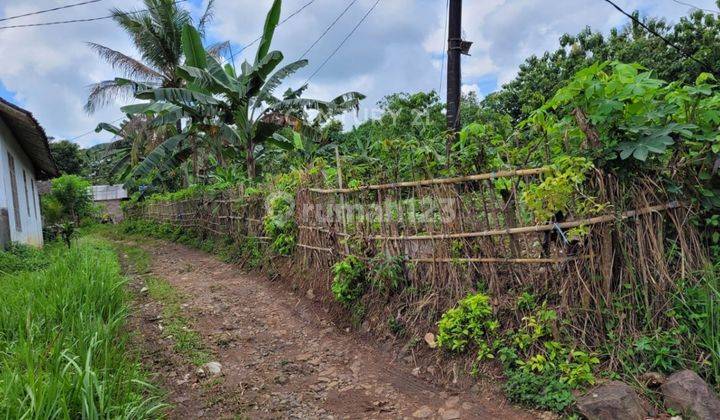 Tanah Kebon Kp Cibarang Cipocok Harga Miring 1