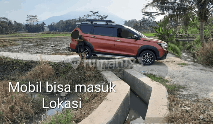 Tanah Sawah Produktif Sidamukti Baros Nego Tanah Sawah Produktif Sidamukti Baros Nego