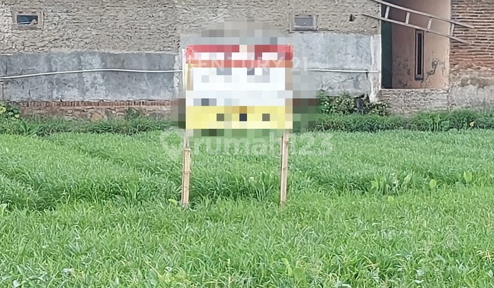 Kubang Laban Rice Field Land on Bojonegara Road