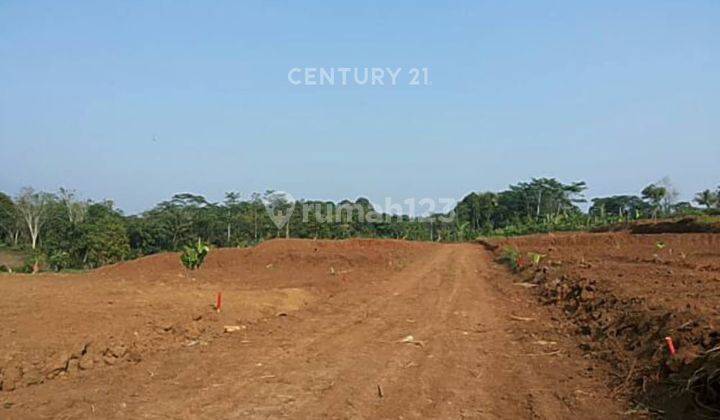 Tanah Kavling Sindangsari Cocok Untuk Kosan 1