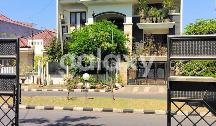 Dijual Rumah Sutorejo Prima Siap Huni Dijual Rumah Sutorejo Prima Siap Huni