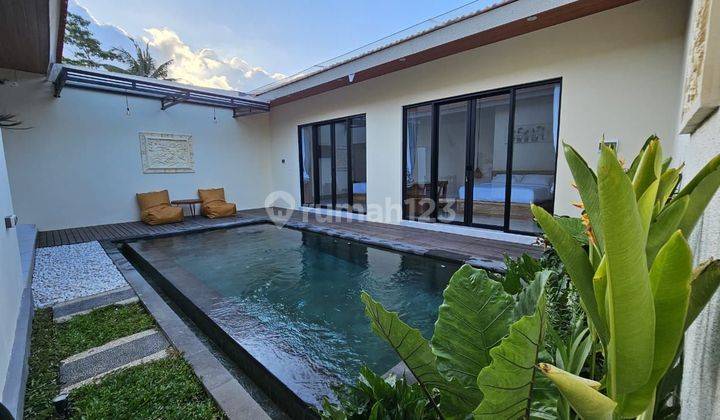 Brand New Villa In Ubud For Rent Yearly Rent In Ubud Bagus Shm 1