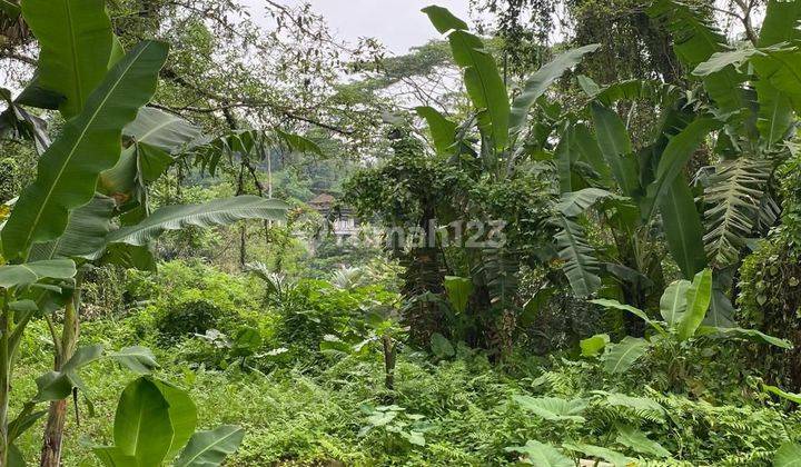 For Sale Land View Jungle Area Ubud 2500 SHM Land 2