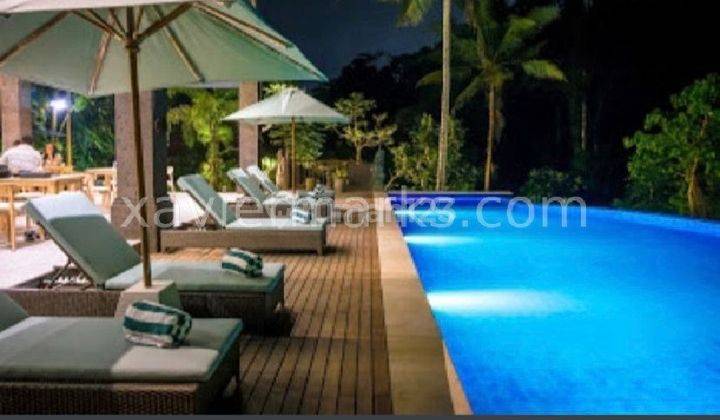 10 Villa Ready For Investasi View Junggle In Ubud Shm Di Ubud 2