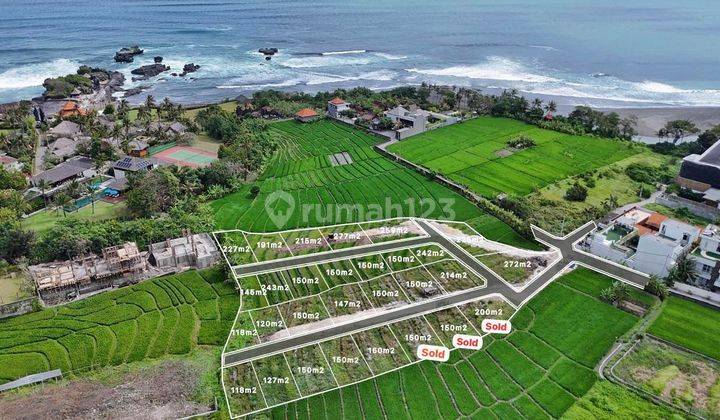 For Sale Super Cheap Land Kapling Pantai Cemagi Badung Bali 150 SHM Land 1