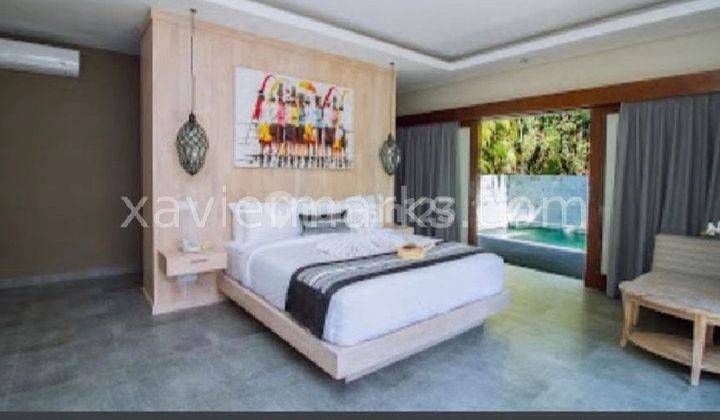 10 Villa Ready For Investasi View Junggle In Ubud Shm Di Ubud 1