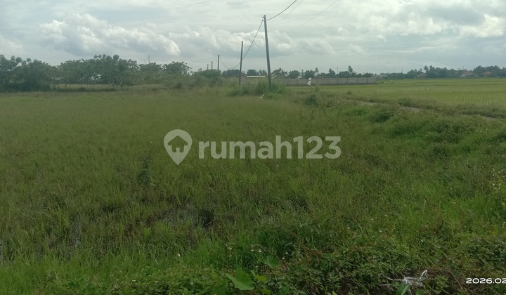 Tanah Rajeg untuk Perumahan