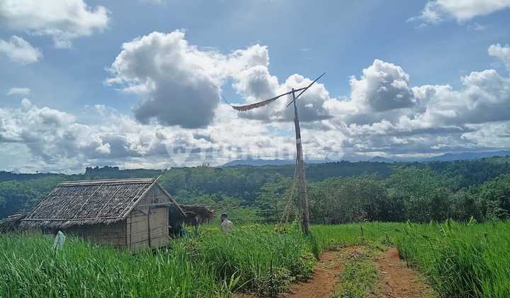 Industrial Land in Lebak Banten