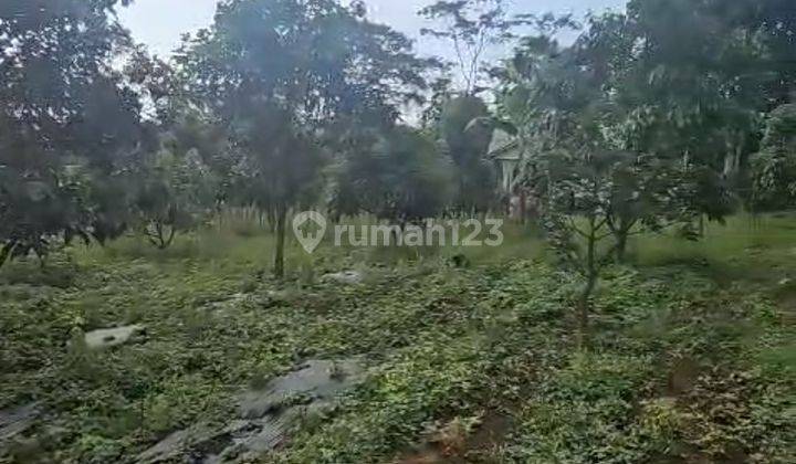 DI JUAL LAHAN BONUS KEBUN ALPUKAT, CENGKEH, MANGGIS, DURIAN, PISANG DAN SAYUR2AN 1