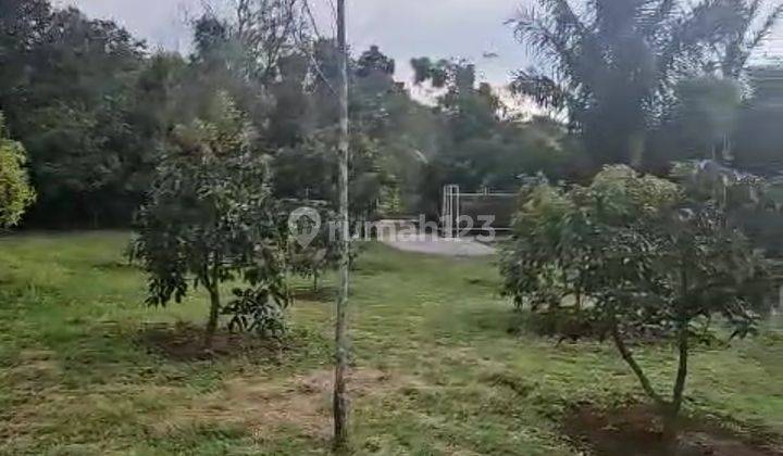 DI JUAL LAHAN BONUS KEBUN ALPUKAT, CENGKEH, MANGGIS, DURIAN, PISANG DAN SAYUR2AN 2