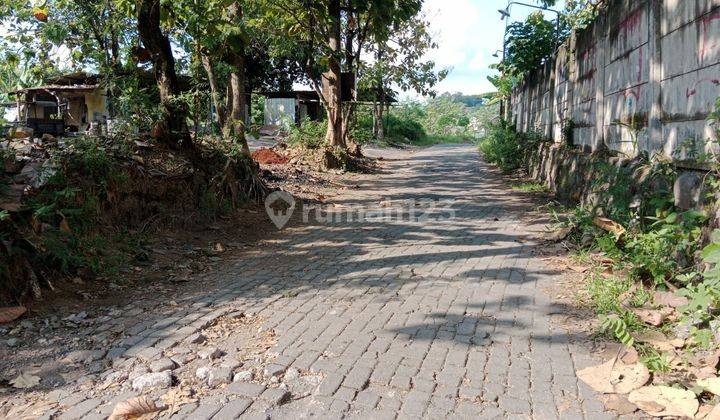 Tanah luas di elang sambiroto kedungmundu 2