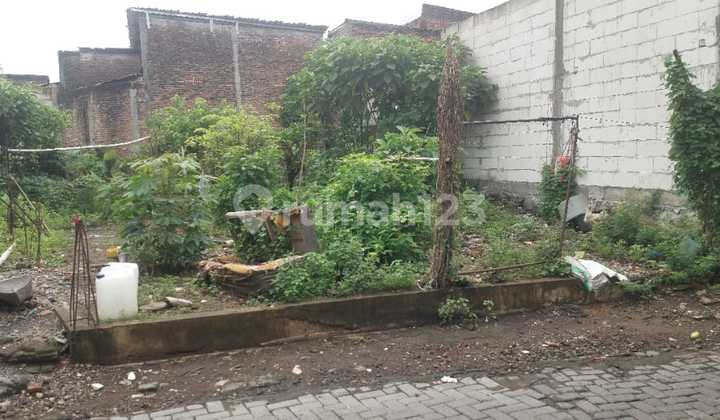 Land for Sale Below Market Price Near Unimus Kedungmundu 2