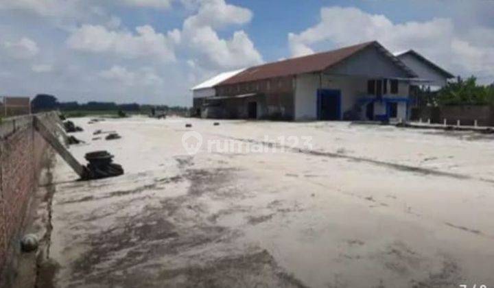 Gudang Siap Pakai Di Dempet Demak Purwodadi Harga Dibawah Appraisal Bank  1