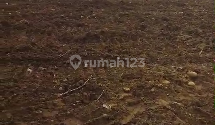 For Sale, Flat Large Land, Beside Meteseh Raya Street, Next to the Market. 2