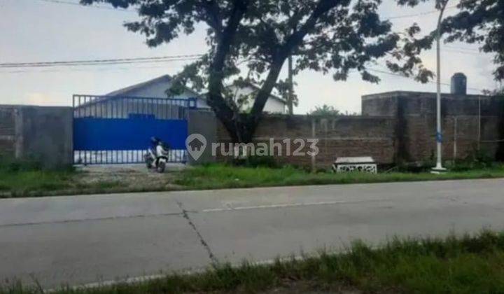 Gudang Siap Pakai Di Dempet Demak Purwodadi Harga Dibawah Appraisal Bank  2