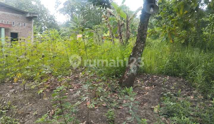 Dijual Tanah Murah Dekat Unika di Tinjomoyo 2