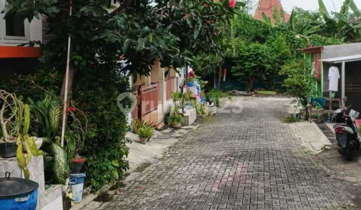Dijual Rumah Siap Huni Dekat Unimus Kedungmundu Jl Amposari 1