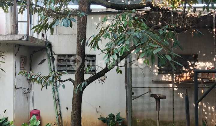 Dijual Rumah Mewah Luas di Jl Klenteng Sari Dekat Al Azhar dan Undip 1