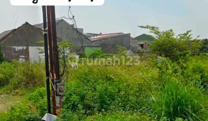 Dijual Murah Tanah Siap Bangun Selangkah ke Jl Soekarno Hatta di Jl Tlogo Biru Pedurungan 2