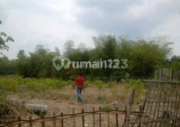 Lahan Cibarusa 4200m Izin Bangun Perumahan Subsidi di Bekasi 1