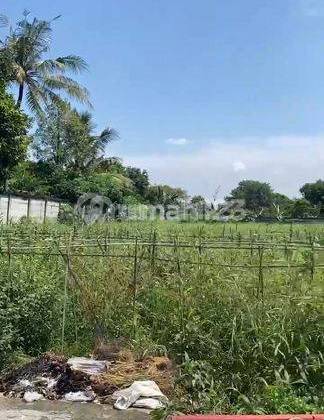 Strategic Land Setu 4500M Beside Setu Main Road, Cileungsi #1053