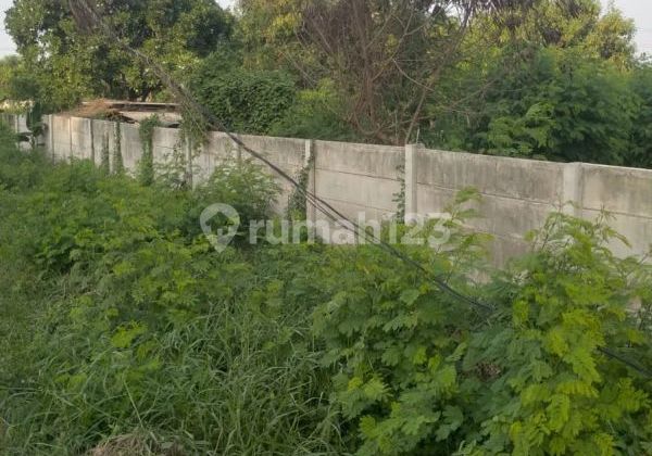 Lahan Kavling di Cilincing Jakarta Utara #1101