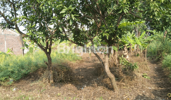 TANAH AREA PUCANG GADING SIAP BANGUN 1