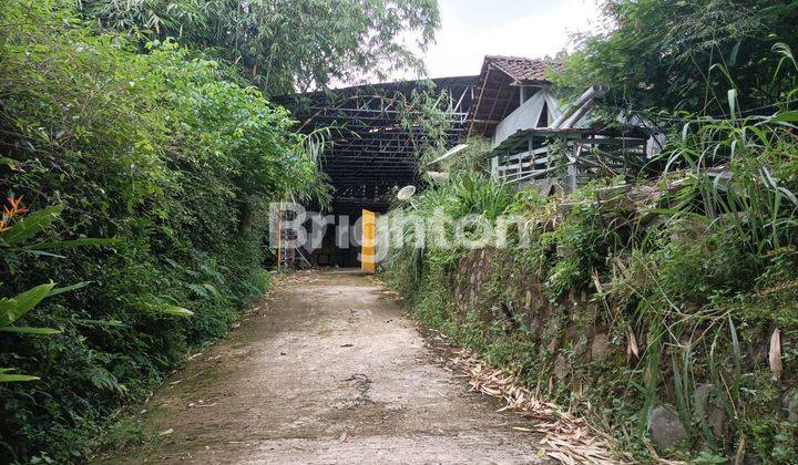 TANAH + GUDANG LUAS BEBAS DI GUNAKAN GUDANG/SEKOLAH 1