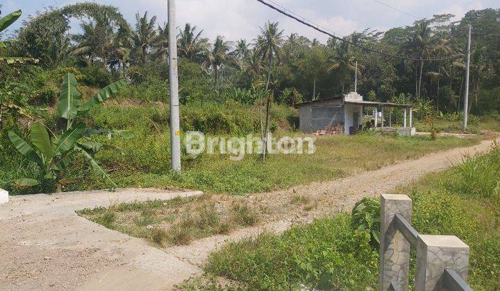 LAHAN ZONA INDUSTRI DAERAH AMPEL,BOYOLALI 2