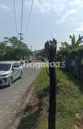 Turun Harga! di Bawah NJOP: Tanah Strategis 9.600M² Semarang 1