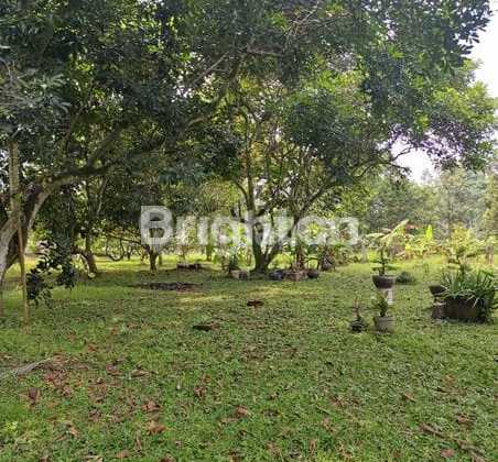 Hitung Tanah Saja Area Semarang Kota . Cocok Untuk Usaha 1