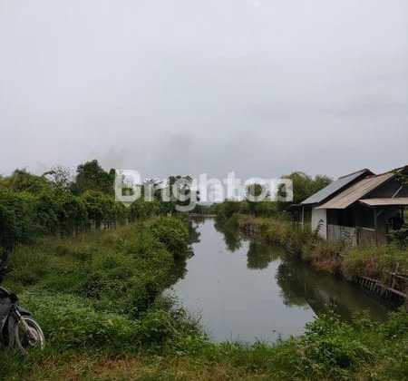 Tanah Kavling Industri di Kaliwungu 15 Menit ke Kik & Sudah Urug