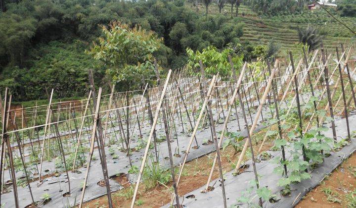 TANAH KAVLING SUKABUMI BISA KOMERSIL 1