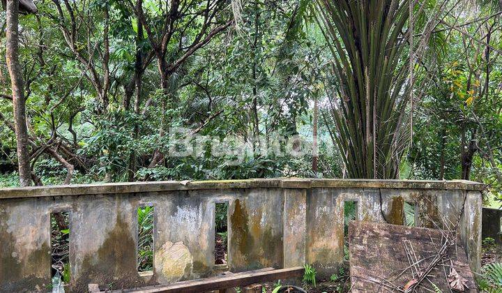 Lahan bersebelahan langsung dengan lapangan Golf Indah Puri Resort 2