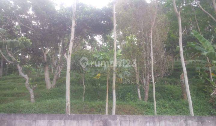 Tanah Vanda Trawas Dijual Lokasi Strategis 2